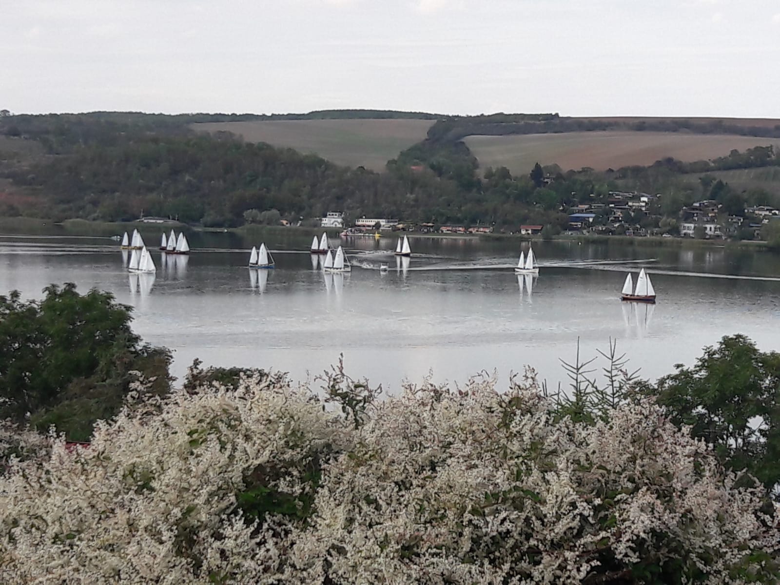 Landesmeisterschaft Kutter 2022 Regatta| SegelSportClub “Süßer See“